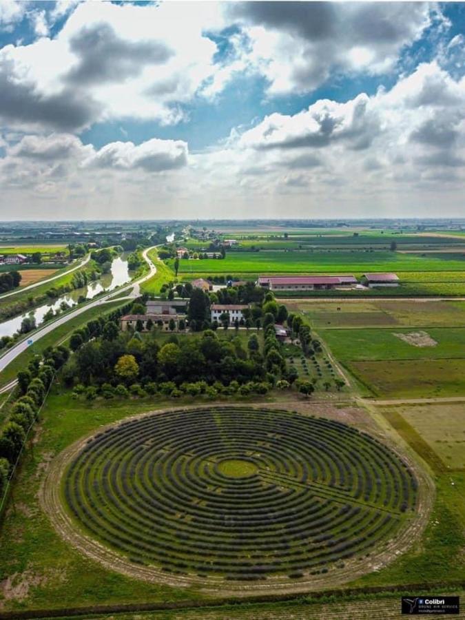 La Tenuta Va Oltre Bovolenta Bagian luar foto