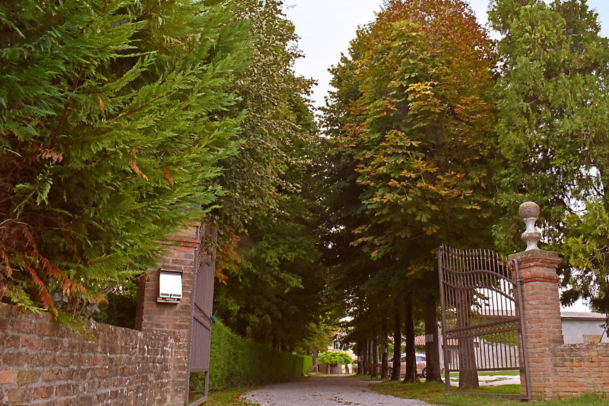 La Tenuta Va Oltre Bovolenta Bagian luar foto